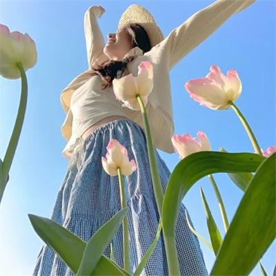 三小强